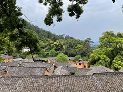 -杨家堂村