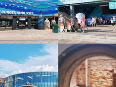 -海合安武汉极地海洋公园