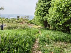 -铁山坪森林公园