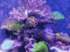 -海合安武汉极地海洋公园