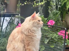 -自由生长植物工作室(深港花卉中心店)