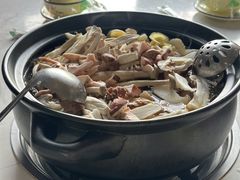 -菌之家·专业纯野生菌火锅·特色炒菌