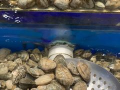 -韩盛炭火烤肉(万达广场店)