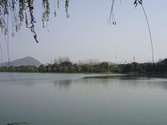 -羊山湖公园