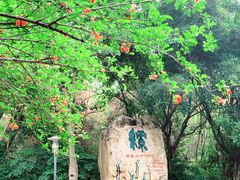 -深圳国际园林花卉博览园