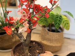 -京门活鱼馆·鱼火锅(百子湾（原红庙）店)