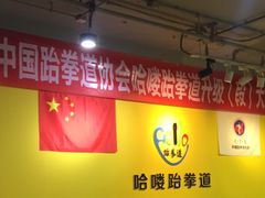 -哈喽实战跆拳道·跳绳·体能(慈云寺馆)