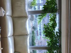 -精德口腔·种植修复·儿牙中心(财富中心店)