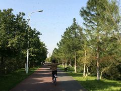 -艾溪湖湿地公园