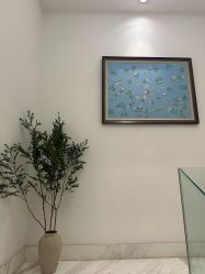 -尊尚柏丽美容SPA