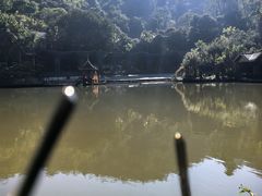 -西双版纳原始森林公园