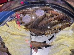 -日进一片海.生腌海鲜火锅.宵夜烧烤(三里屯总店)