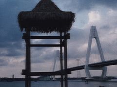 -东郊椰林