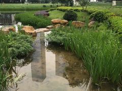 -花果园湿地公园