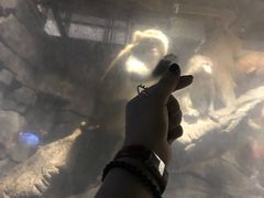 -台州海洋世界