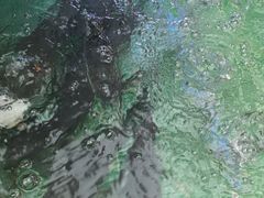 -鱼你相聚·河鲜馆(袁家岭店)