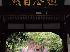 -青羊宫