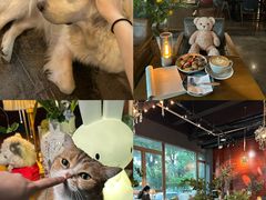 -咖法森林·咖啡  酒吧(天河店)