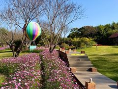 -厦门园林博览苑