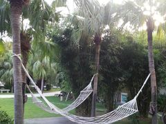 -三亚亚龙湾凯莱仙人掌度假酒店