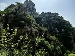 -大岭沟猕猴桃谷风景区