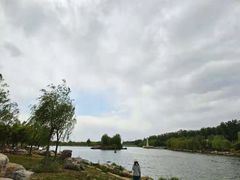 -马家湾湿地公园