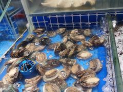-加餐海鲜自助餐厅(福清万达店)