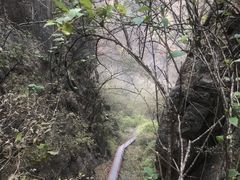 -沕沕水生态风景区