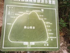 -大岭沟猕猴桃谷风景区