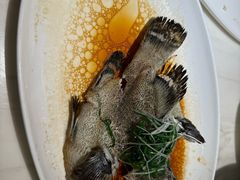龙趸-陶陶居酒家(新天地店)