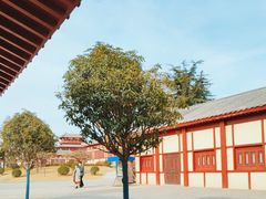 -洛阳古墓博物馆