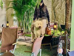 -J Create城市露营咖啡·简餐·宠物(上海动物园店)