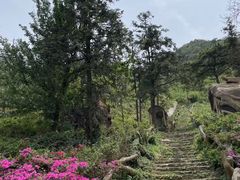 -木兰云雾山