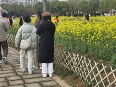 -九龙湖公园
