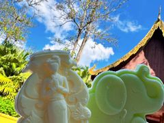 -中国科学院西双版纳热带植物园