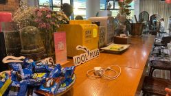-IDOL-PLUS