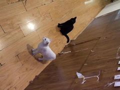 -剧狐剧本杀·月球探案馆(人民广场1号店)