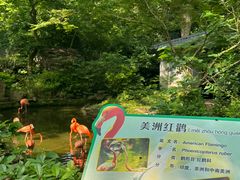 -杭州动物园