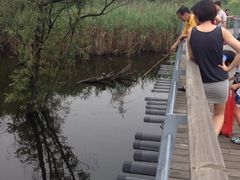 iphone_upload_pic-西湖风景区-江洋畈生态公园