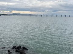 -五缘湾湿地公园
