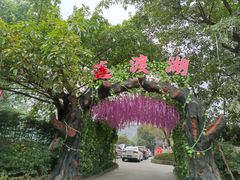 -铁山坪森林公园