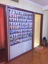 -维纳斯专业减肥