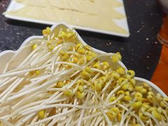 -老版火锅.12年西安排队王(沣峪口店)