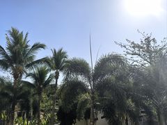 -三亚海棠湾万丽度假酒店