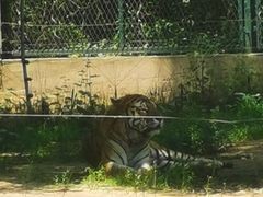 -秦皇岛野生动物园