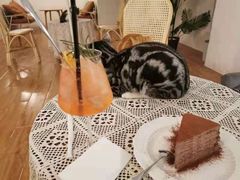 -猫友咖啡店(玉林西路店)
