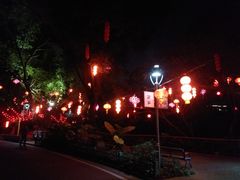 -金鸡山公园