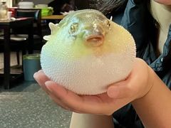 -永安鱼庄·镇江菜(东吴路店)