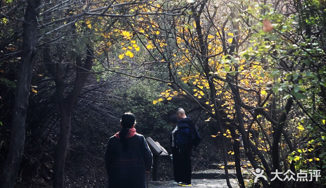 🍁爬龙山看红叶，近期可冲。