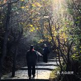 🍁爬龙山看红叶，近期可冲。